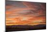 Sonoran Sunset-Aaron Matheson-Mounted Premium Photographic Print