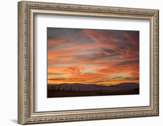 Sonoran Sunset-Aaron Matheson-Framed Photographic Print