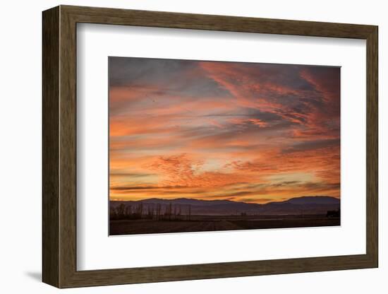 Sonoran Sunset-Aaron Matheson-Framed Photographic Print