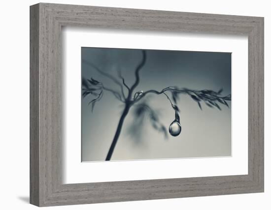 Soon-Heidi Westum-Framed Photographic Print