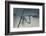 Soon-Heidi Westum-Framed Photographic Print