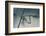 Soon-Heidi Westum-Framed Photographic Print