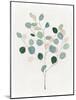 Soothing Botanical I-Aria K-Mounted Art Print