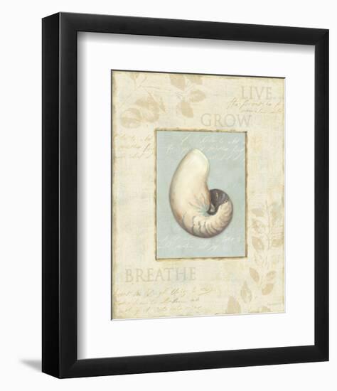 Soothing Words Shells II-Lisa Audit-Framed Art Print