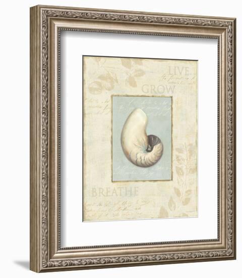 Soothing Words Shells II-Lisa Audit-Framed Art Print