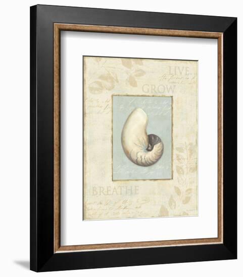 Soothing Words Shells II-Lisa Audit-Framed Art Print