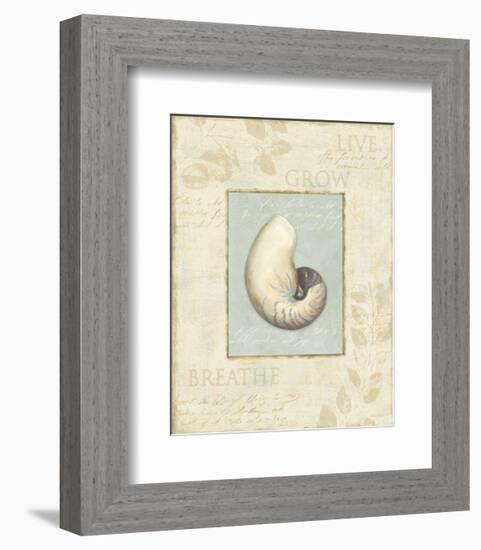 Soothing Words Shells II-Lisa Audit-Framed Art Print