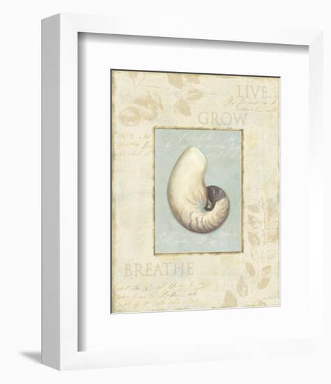 Soothing Words Shells II-Lisa Audit-Framed Art Print