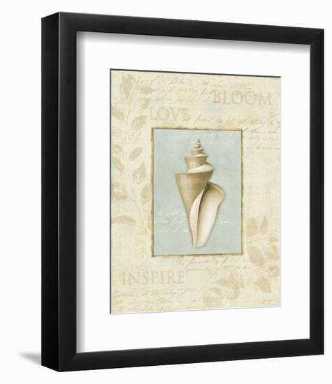 Soothing Words Shells III-Lisa Audit-Framed Art Print