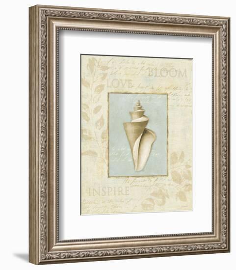 Soothing Words Shells III-Lisa Audit-Framed Art Print