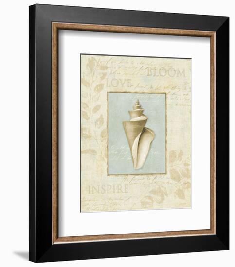 Soothing Words Shells III-Lisa Audit-Framed Art Print