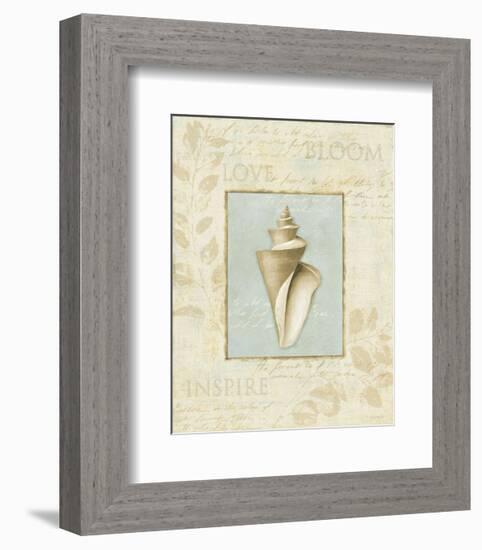 Soothing Words Shells III-Lisa Audit-Framed Art Print