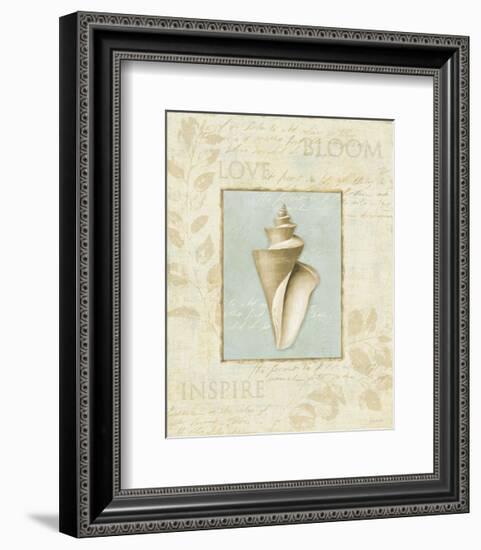 Soothing Words Shells III-Lisa Audit-Framed Art Print