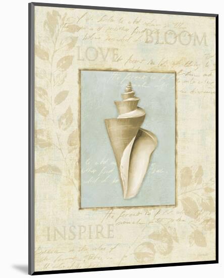 Soothing Words Shells III-Lisa Audit-Mounted Art Print