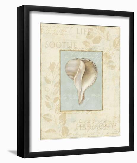 Soothing Words Shells IV-Lisa Audit-Framed Art Print