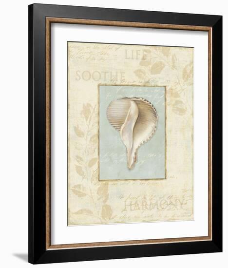 Soothing Words Shells IV-Lisa Audit-Framed Art Print