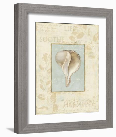 Soothing Words Shells IV-Lisa Audit-Framed Art Print