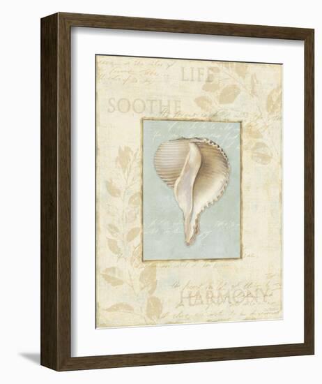 Soothing Words Shells IV-Lisa Audit-Framed Art Print