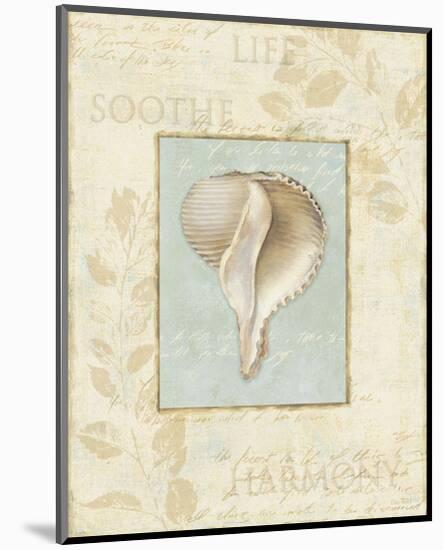 Soothing Words Shells IV-Lisa Audit-Mounted Giclee Print