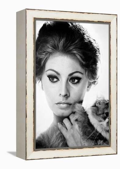 Sophia Loren (1934-)-null-Framed Premier Image Canvas