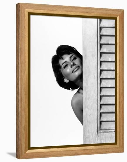 Sophia Loren. "Houseboat" 1958, Directed by Melville Shavelson-null-Framed Premier Image Canvas