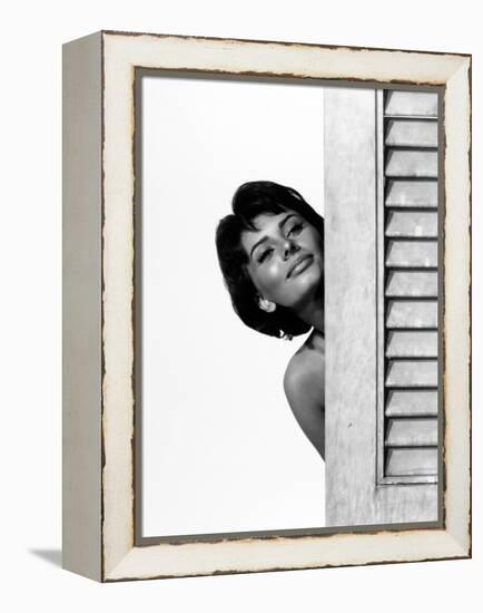 Sophia Loren. "Houseboat" 1958, Directed by Melville Shavelson-null-Framed Premier Image Canvas