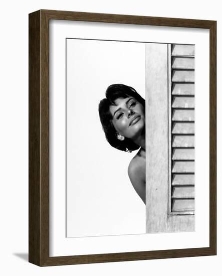 Sophia Loren. "Houseboat" 1958, Directed by Melville Shavelson-null-Framed Photographic Print