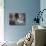 Sophia Loren in Her Bedroom at the Villa-Alfred Eisenstaedt-Premium Photographic Print displayed on a wall