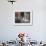 Sophia Loren in Her Bedroom at the Villa-Alfred Eisenstaedt-Framed Premium Photographic Print displayed on a wall