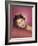 Sophia Loren Italian Film Actress in a Glamorous Pose-null-Framed Photographic Print