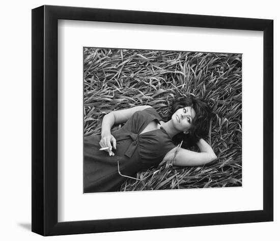 Sophia Loren-null-Framed Photo