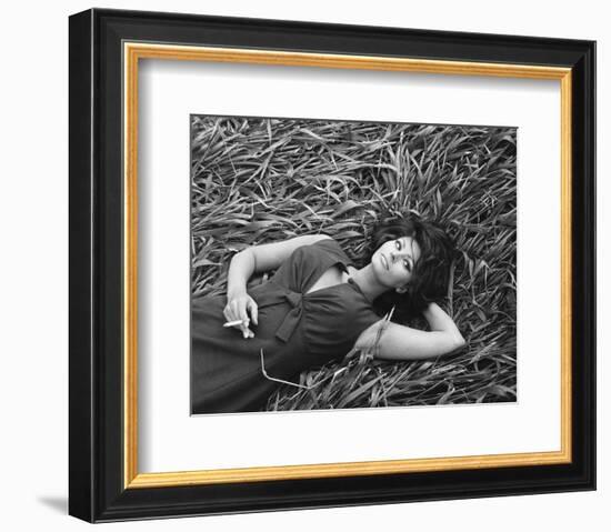 Sophia Loren-null-Framed Photo