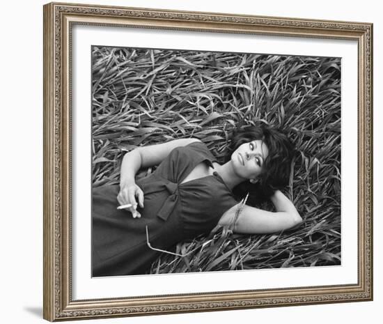 Sophia Loren-null-Framed Photo