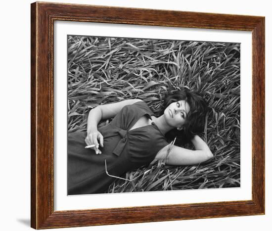 Sophia Loren-null-Framed Photo