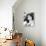 Sophia Loren-null-Framed Stretched Canvas displayed on a wall
