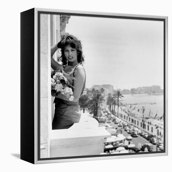 Sophia Loren-null-Framed Stretched Canvas