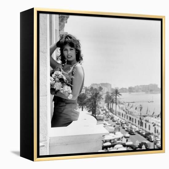 Sophia Loren-null-Framed Stretched Canvas