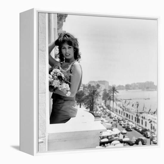 Sophia Loren-null-Framed Stretched Canvas