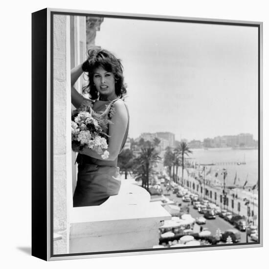 Sophia Loren-null-Framed Stretched Canvas