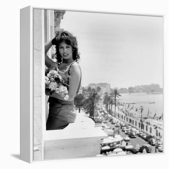 Sophia Loren-null-Framed Stretched Canvas