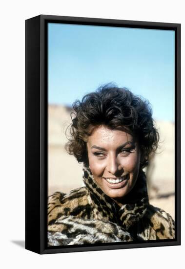 Sophia Loren-null-Framed Stretched Canvas