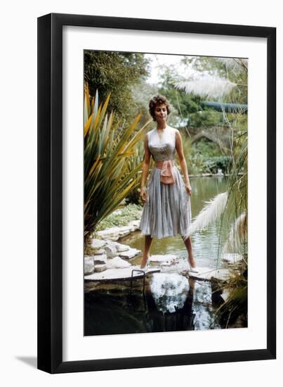 Photo, , large