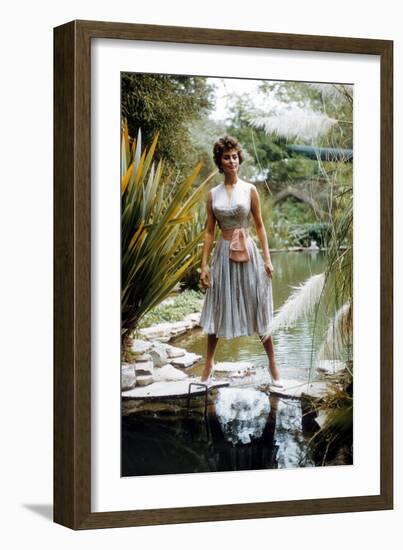 Sophia Loren-null-Framed Photo