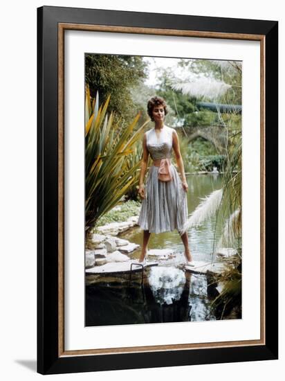 Sophia Loren-null-Framed Photo