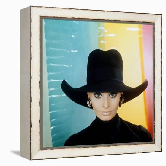 Sophia Loren-null-Framed Stretched Canvas