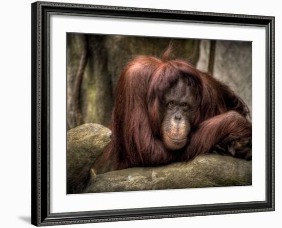 Sophia-Stephen Arens-Framed Photographic Print