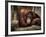 Sophia-Stephen Arens-Framed Photographic Print