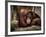 Sophia-Stephen Arens-Framed Photographic Print