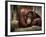 Sophia-Stephen Arens-Framed Photographic Print