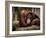 Sophia-Stephen Arens-Framed Photographic Print